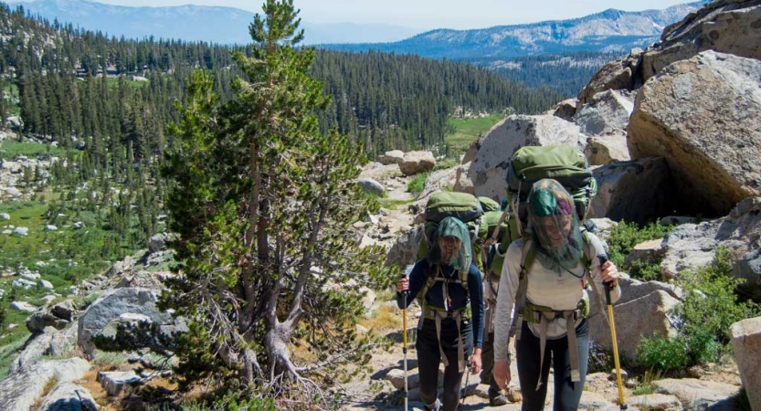 Two people carrying backpacks and wearing mosquito nets hike through a mountain area with evergreen trees. 